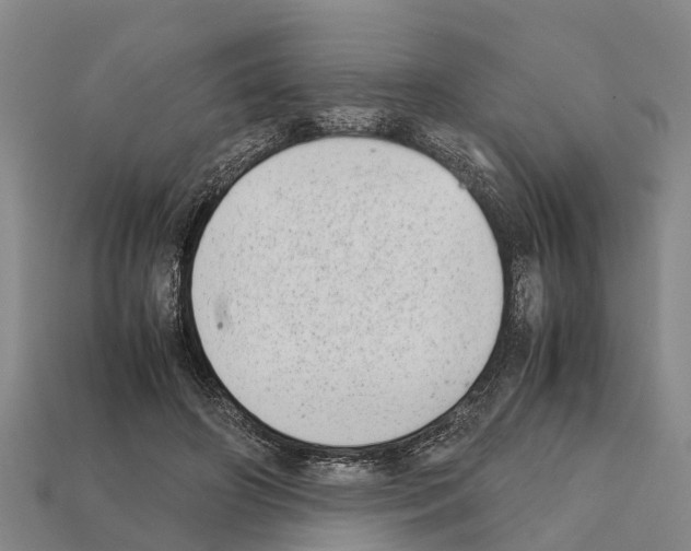 X0000111920498200909071220