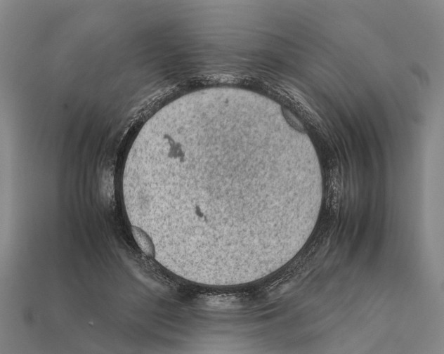 X0000111920500200909071220