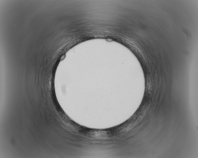 X0000111920501200909071220