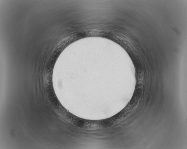 X0000111920503200909071220