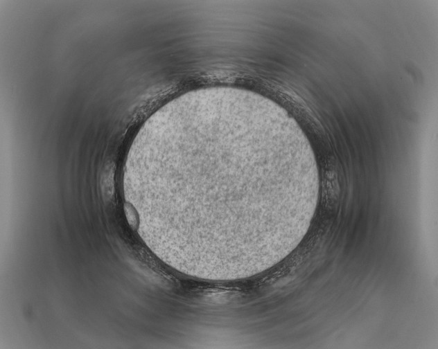 X0000111920504200909071220