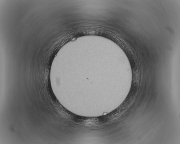 X0000111920505200909071220