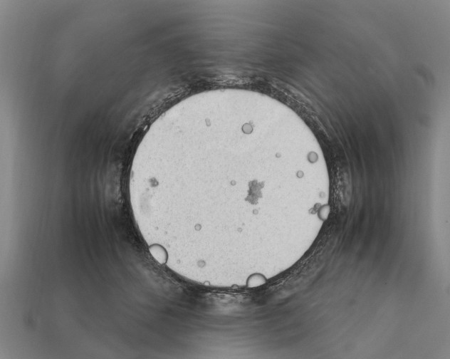 X0000111920512200909071220