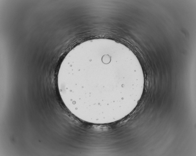 X0000111920520200909071220