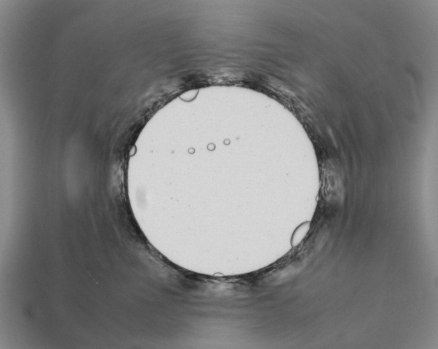 X0000111920523200909071220