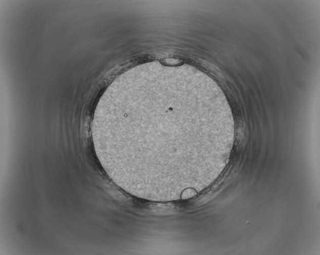 X0000111920525200909071220