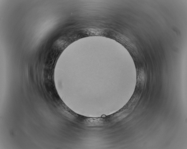 X0000111920526200909071220