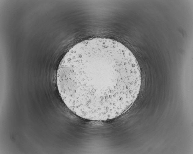 X0000111920528200909071220