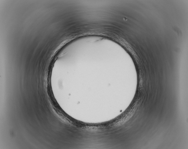 X0000111920530200909071219