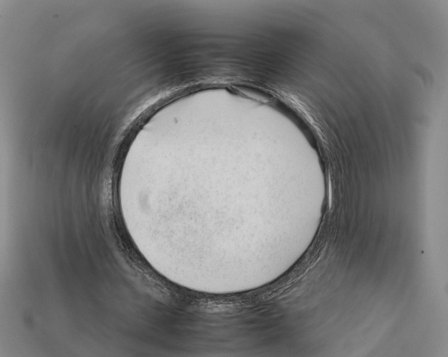 X0000111920531200909071219