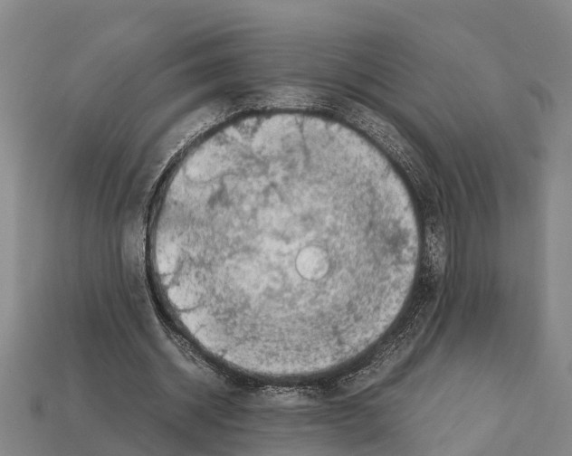 X0000111920534200909071219