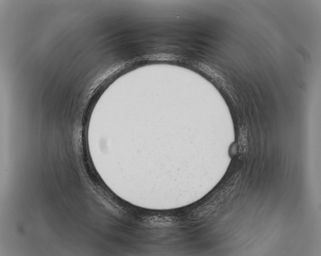 X0000111920535200909071219