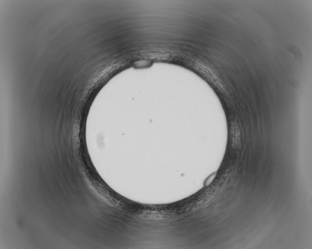 X0000111920538200909071219