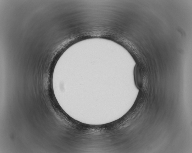 X0000111920540200909071219