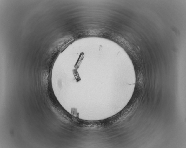 X0000111920542200909071219