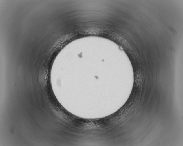 X0000111920544200909071220