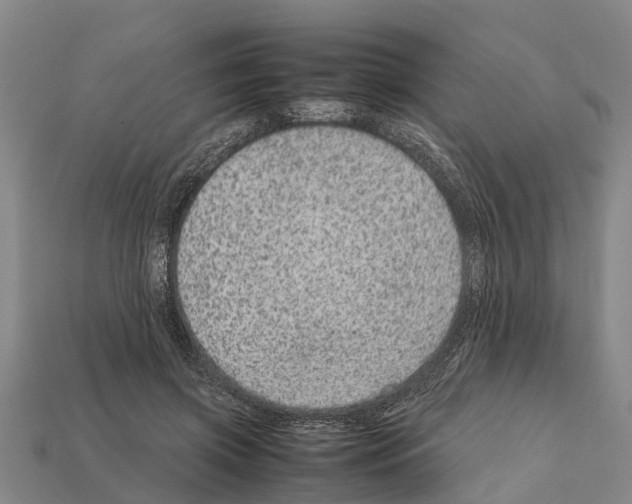 X0000111920549200909071220