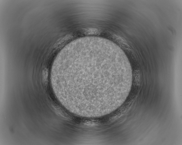 X0000111920550200909071220