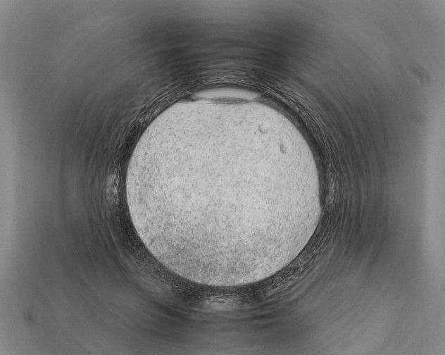 X0000111920551200909071220