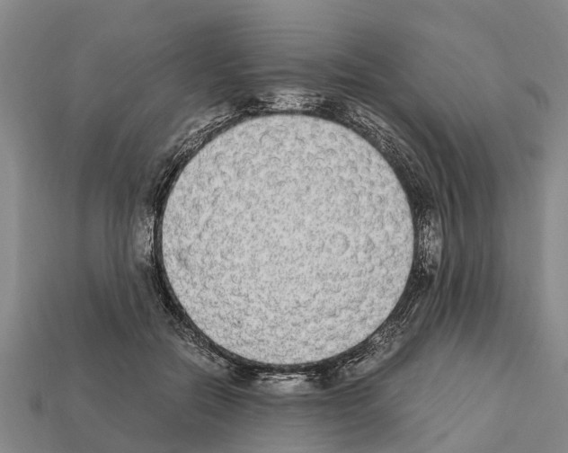 X0000111920554200909071220