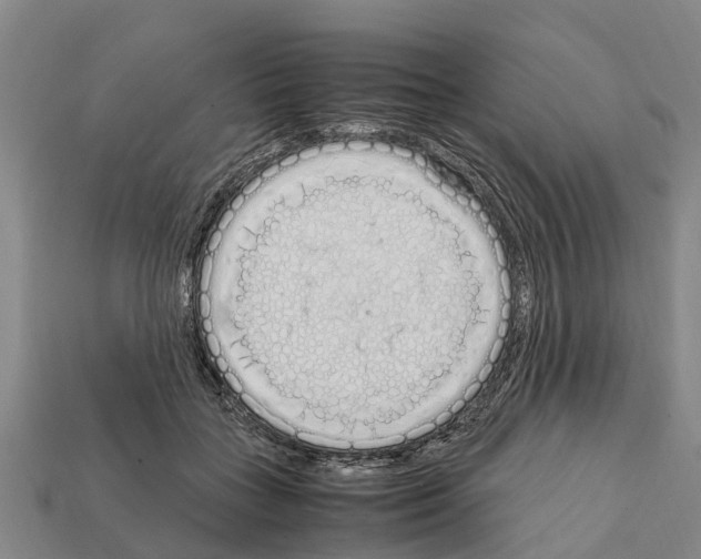 X0000111920555200909071220