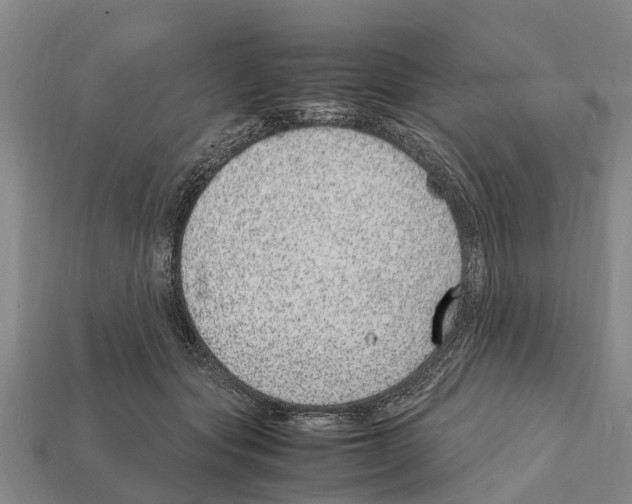 X0000111920557200909071220