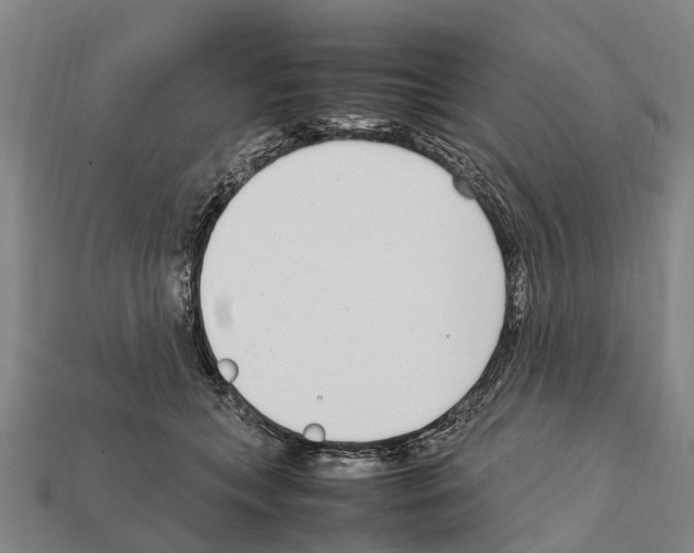 X0000111920559200909071220