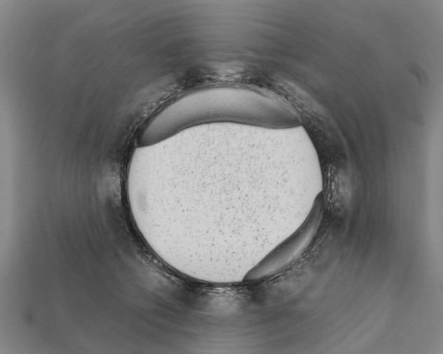 X0000111920562200909071220