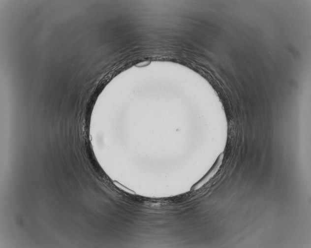 X0000111920564200909071220