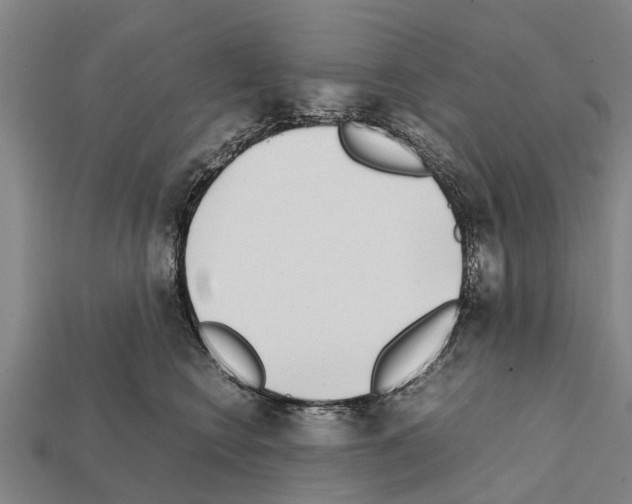 X0000111920566200909071220