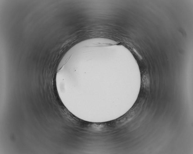 X0000111920570200909071220