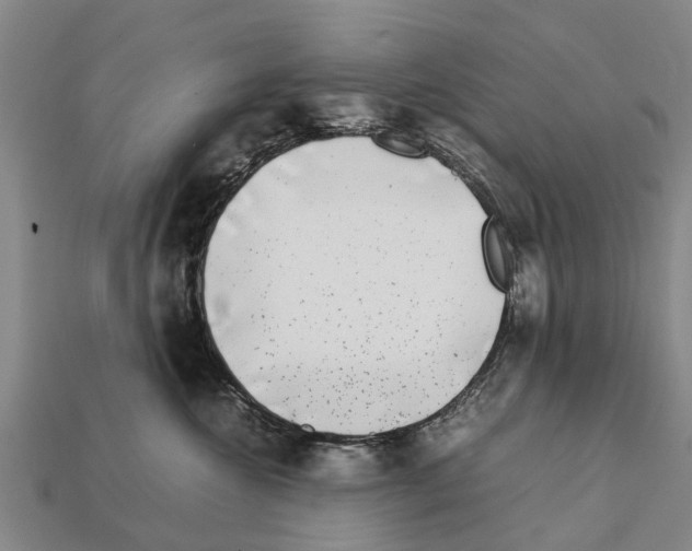 X0000111920572200909071220