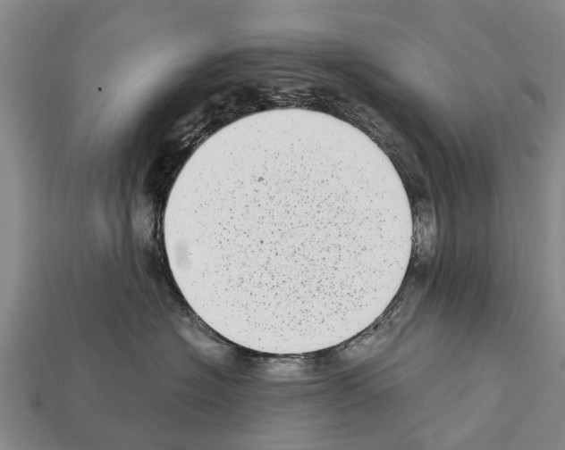 X0000111920574200909071220