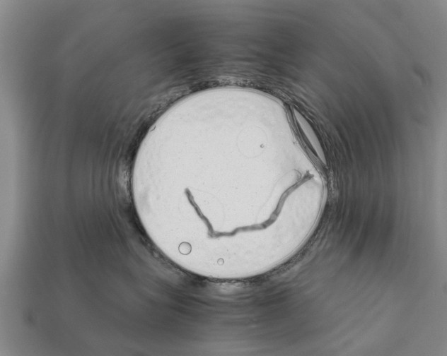 X0000111920575200909071220