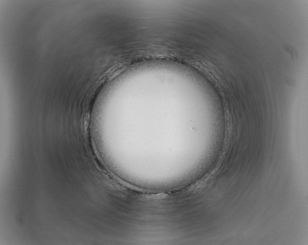 X0000111920576200909071220