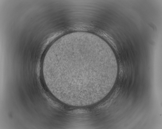 X0000111920578200909071219