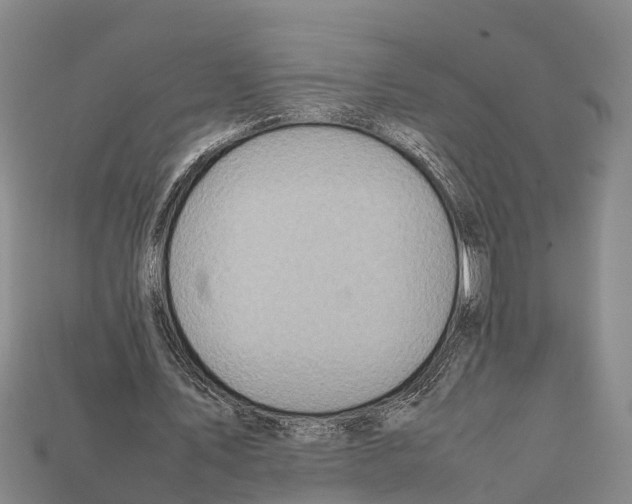 X0000111920579200909071219