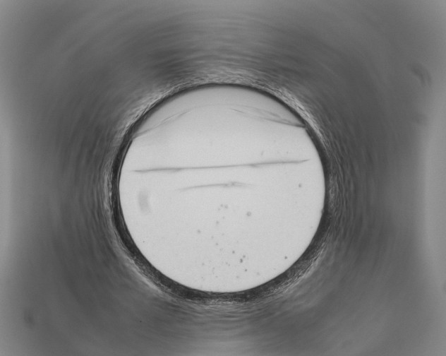 X0000111920581200909071219