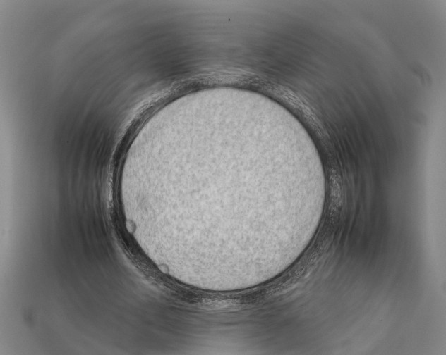 X0000111920582200909071219