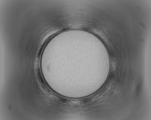 X0000111920583200909071219