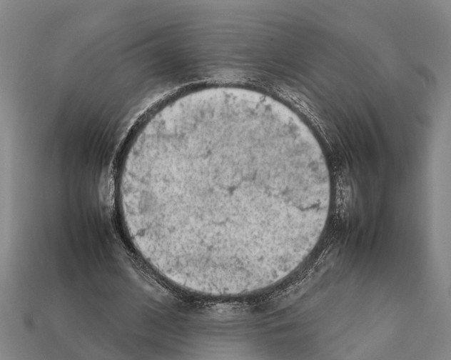 X0000111920584200909071219