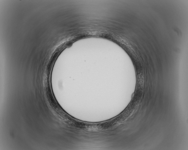 X0000111920587200909071219