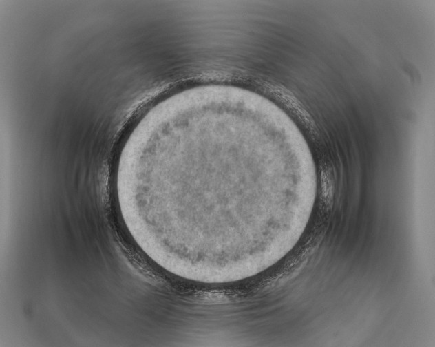 X0000111920588200909071219