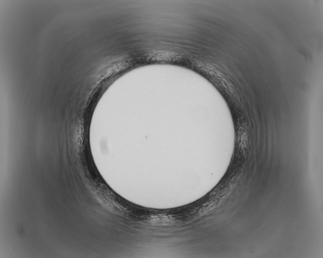 X0000111920591200909071219