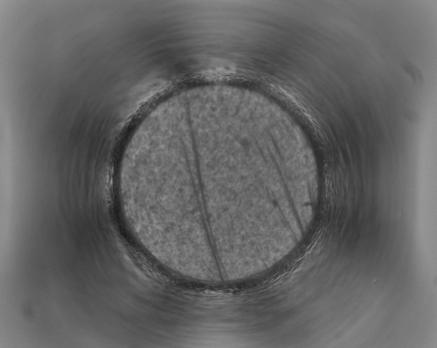 X0000111920592200909071219