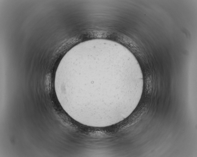 X0000111920594200909071219