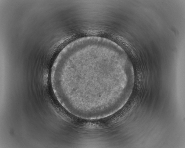 X0000111920596200909071219