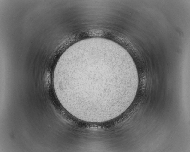 X0000111920598200909071219