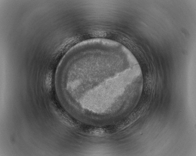 X0000111920600200909071219