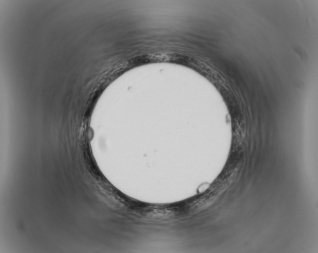 X0000111920601200909071219